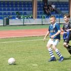 zdjęcie nr 22