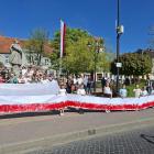 zdjęcie nr 45