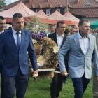 zdjęcie nr 15