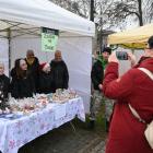 zdjęcie nr 50