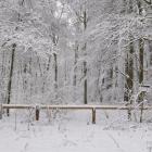 _DSC0668