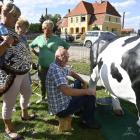 zdjęcie nr 15