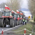 zdjęcie nr 75