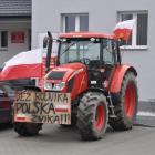 Fotka nr 2 z 77