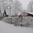 _DSC0666