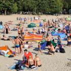zdjęcie nr 20