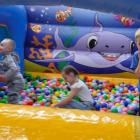 _DSC0059