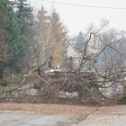 zdjęcie nr 8