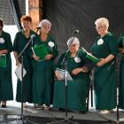 zdjęcie nr 12