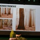 zdjęcie nr 22