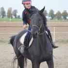 zdjęcie nr 31
