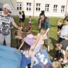 zdjęcie nr 38