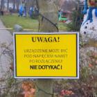 Fotka nr 0 z 50