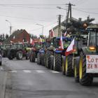 zdjęcie nr 31