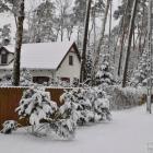 zdjęcie nr 36