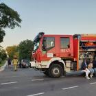 Fotka nr 2 z 7