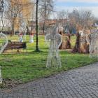 zdjęcie nr 7