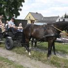zdjęcie nr 53