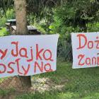 zdjęcie nr 16