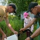 zdjęcie nr 15