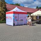 zdjęcie nr 41