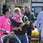 zdjęcie nr 35