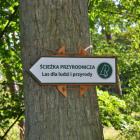 zdjęcie nr 37
