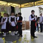 zdjęcie nr 24