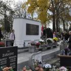 zdjęcie nr 27