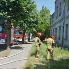 Fotka nr 4 z 11