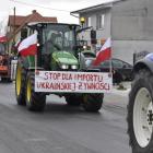 zdjęcie nr 28