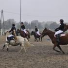 zdjęcie nr 40