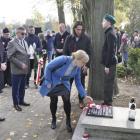 zdjęcie nr 19