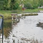 zdjęcie nr 34