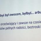 zdjęcie nr 25