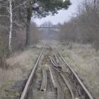 zdjęcie nr 17