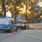 Fotka nr 4 z 6