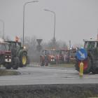 zdjęcie nr 15