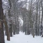 zdjęcie nr 35
