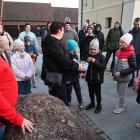 zdjęcie nr 35