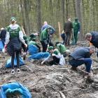 zdjęcie nr 44