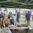 Fotka nr 0 z 38