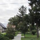 Fotka nr 4 z 8