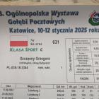 zdjęcie nr 9