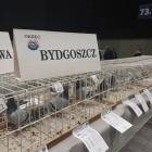 Fotka nr 5 z 16