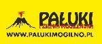 Pałuki i Ziemia Mogileńska