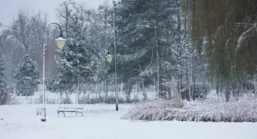 Spadł pierwszy śnieg tej zimy. Park miejski w Mogilnie otulony białą szatą (zdjęcia)